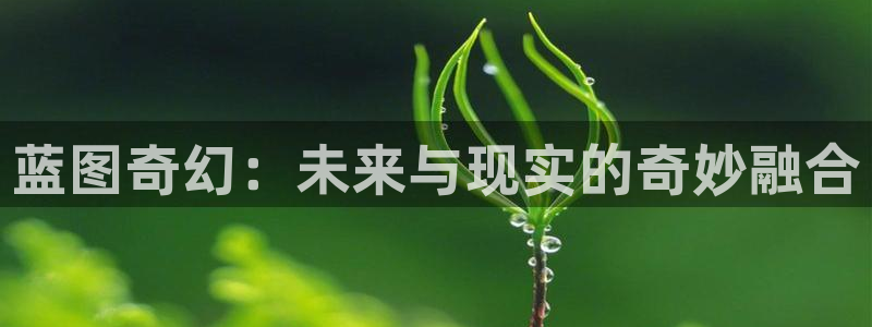 赢彩棋牌