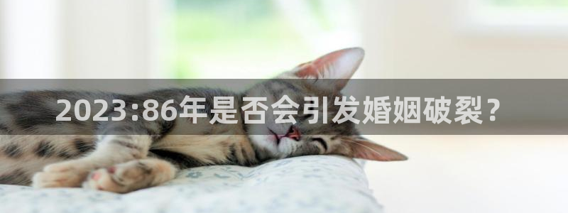 香港赢彩网