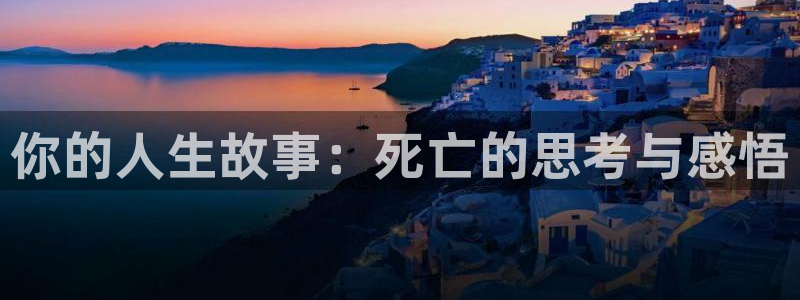 赢彩国际