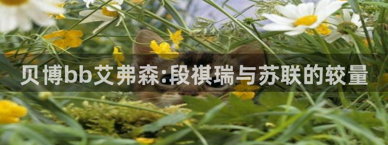 赢彩软件下载
