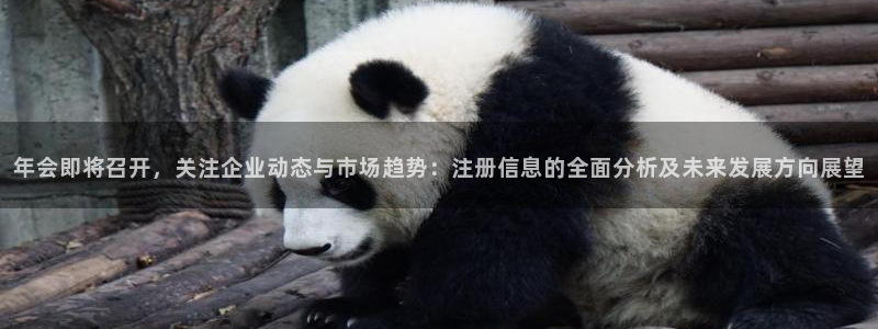 乐赢彩店app
