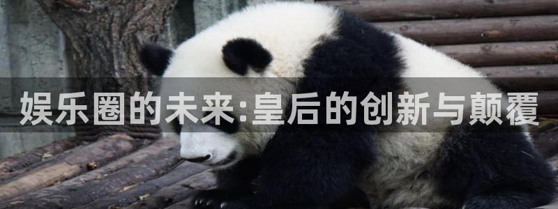 赢彩二四六旺角彩