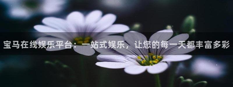 天天好彩944cc赢彩