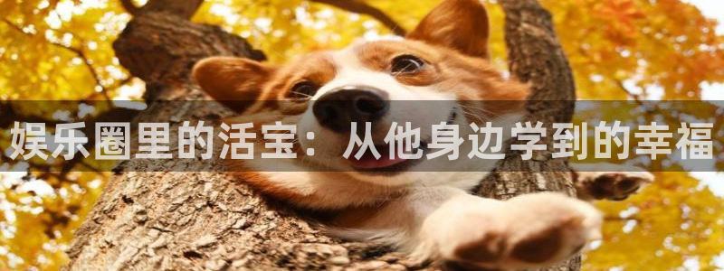 赢彩网是正规的吗：娱乐圈里的活宝：从他身边学到的幸福