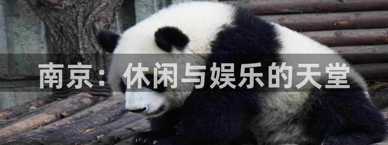 澳门赢彩yc49mc：南京：休闲与娱乐的天堂