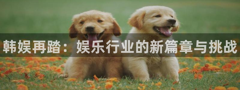 赢彩联盟：韩娱再踏：娱乐行业的新篇章与挑战