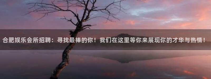 125123赢彩天：合肥娱乐会所招聘：寻找最棒的你！我们在这里等你来展现你的才华与热情！