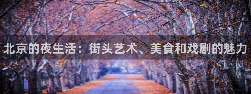 赢彩吧正版入口：北京的夜生活：街头艺术、美食和戏剧的魅力