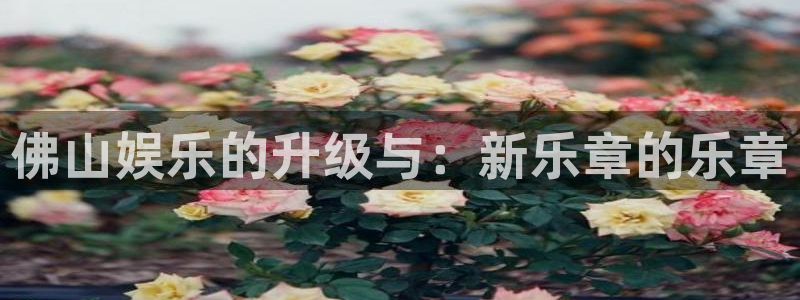赢彩3d软件：佛山娱乐的升级与：新乐章的乐章