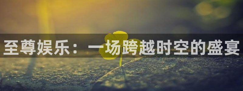 721cc赢彩网：至尊娱乐：一场跨越时空的盛宴