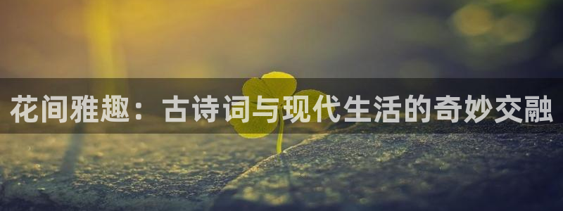 赢彩吧859cc赢彩：花间雅趣：古诗词与现代生活的奇妙交融